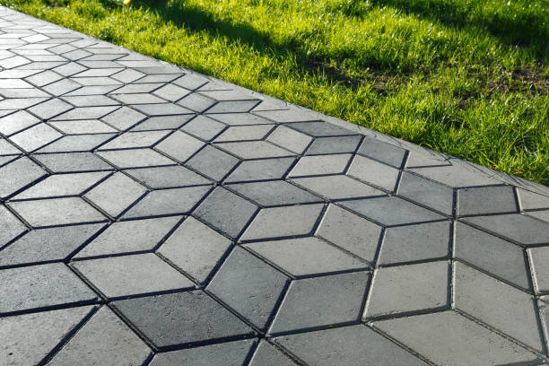 Best Driveway Paving Near Me  in Crow Agency, MT