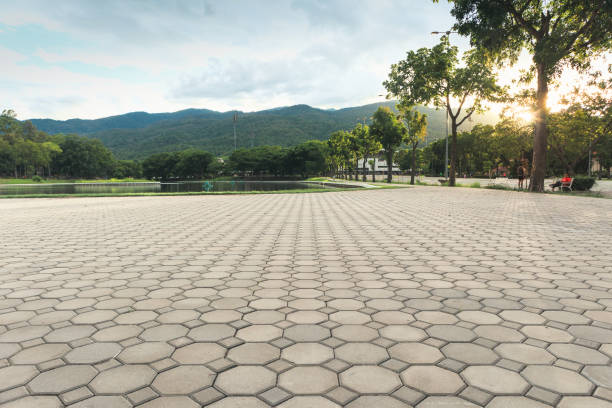 Best Interlocking Driveway Pavers  in Crow Agency, MT
